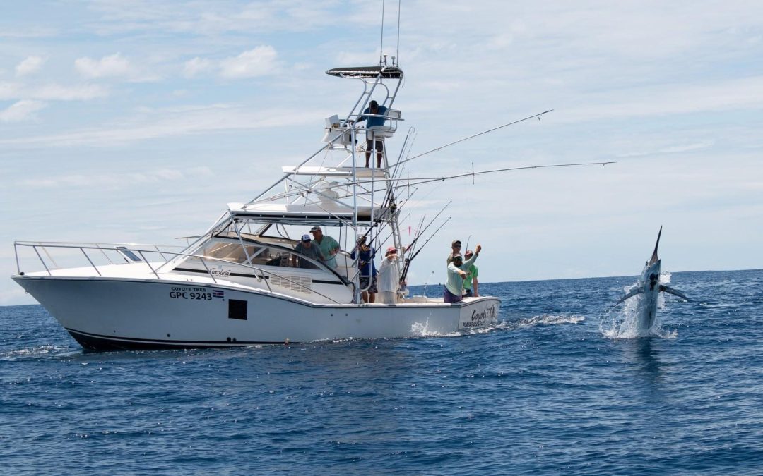 Sport Fishing in Tamarindo